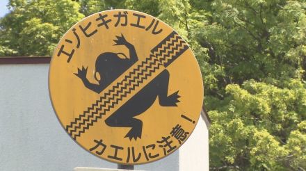 地域限定！北海道のレア標識が勢ぞろい　シカもツルも珍しい動物標識に　既に轢かれたカエルの標識も？