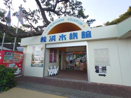 【50代が選ぶ】「水族館」人気ランキング！　2位は「伊勢シーパラダイス」、1位は？