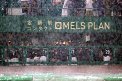 【ロッテ】沖縄シリーズ初戦は６回表降雨コールド勝ち…北海道での悪夢３連敗の流れを断ち切る