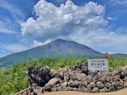 【女性が選ぶ】「買ってきてほしい鹿児島のお土産（お菓子・スイーツ）」ランキング！　2位は「かるかん（明石屋菓子店）」、1位は？