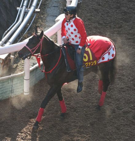 【オークス】ラヴァンダ　馬体減も回復傾向、中村師「期待が大きい馬なので楽しみ」