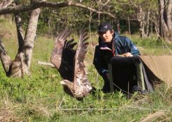 鳥インフルにかかったオジロワシ　世界的にも珍しい治療で野生復帰