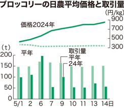 ブロッコリー異例の高値　平年の2.5倍に　過去5年間で最高値