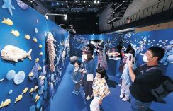 舞台照明で「映え」　氷見・お菓子の美術館　渡辺さんの世界観表現