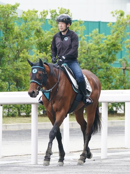 【平安Ｓ】充実期に入ったミッキーヌチバナ　重賞連勝へ状態良し