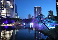 今日から４日間限定で開園１００周年「旧芝離宮恩賜庭園」ライトアップ夜会開催、音と光のダイナミック演出に鮮やかなインスタレーション！