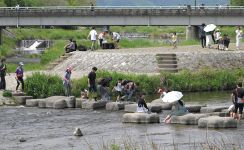 今年4月の京都、種子島並みの高温だった　温暖化の影響、カメムシも活発化