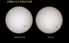 太陽表面の黒点　くっきり　長崎県天文協会長・松本さん撮影