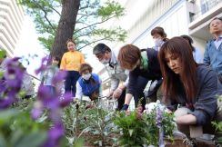 心斎橋パルコ前に花壇　歩道となった御堂筋側道の一部を利用