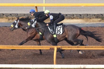 【日本ダービー】武豊騎手がキタサンブラックの弟シュガークンとコンタクト「ダービーは何回でも勝ちたい」