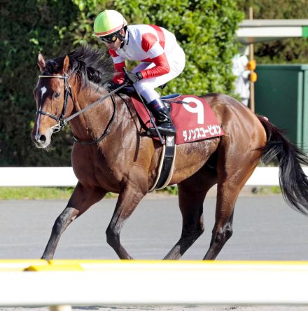 【注目馬動向】福永厩舎のダノンスコーピオンは美浦滞在で安田記念参戦へ