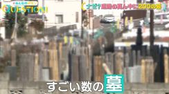 【調査】ナゼ？道路の真ん中に200の墓　立ち退き進まないワケとは？ #みんなのギモン