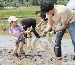 泥だらけ満喫　トヨタ東日本社員家族ら参加し田植え交流　宮城・大衡　