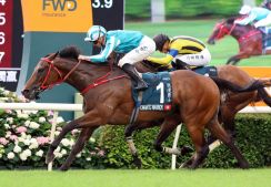 安田記念に出走するロマンチックウォリアー、ヴォイッジバブルの香港馬２頭が宝塚記念に予備登録