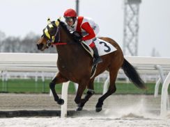 門別で新種牡馬限定の新馬戦 勝利したのはたった1頭の産駒