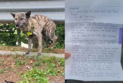 がんで余命宣告、ペット犬を遺棄した韓国の飼い主…添えた手紙に記した悲痛な心情