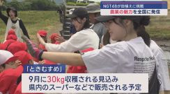 NGT48メンバーが地元園児と共に田植え 農業の魅力を全国へ発信【新潟・新発田市】