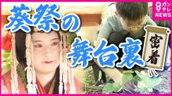 京都三大祭りの一つ「葵祭」　 斎王代と平安装束の行列に目が行きがちだが…　実は欠かせない「葵」が激減　危機に瀕した1400年の伝統を守れるか