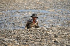 【今日の1枚】大量死の魚、除去に奮闘中 ベトナム