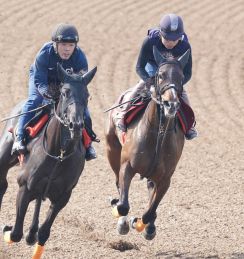 【オークス】エセルフリーダ　直線突き抜けた！武藤師「ビシビシやれた」