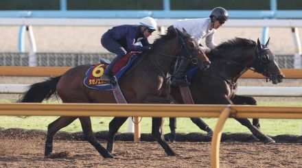 【オークス】タガノエルピーダ　しっかり動けた、M・デムーロ「初距離だけど競馬が上手」