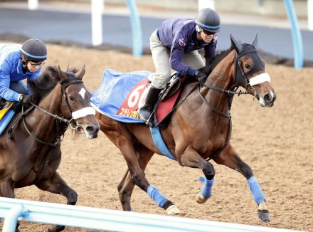 【オークス】桜花賞馬ステレンボッシュは４枠７番　武豊騎手騎乗のスウィープフィートは７枠１３番　枠順決定