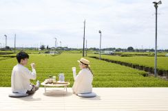 絶景「茶畑テラス」の楽しみかた 　狭山茶を五感で味わう