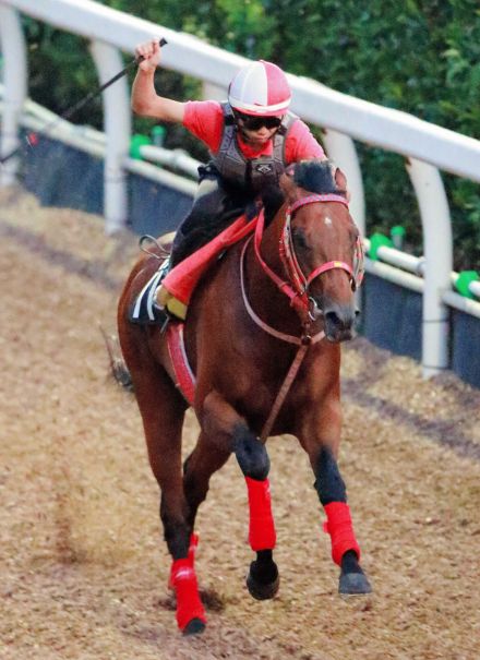 ヨシオが病気で死す　１１歳　福島競馬場で誘導馬として活躍　元阪神・糸井嘉男氏との対面でも話題に