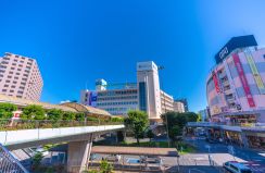 【60代以上の男性が選ぶ】永住したい「神奈川県の街」ランキング！　2位は「茅ヶ崎市」、1位は？