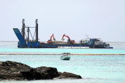 辺野古のサンゴ移植、沖縄県が許可へ　敗訴確定で保護必要と判断