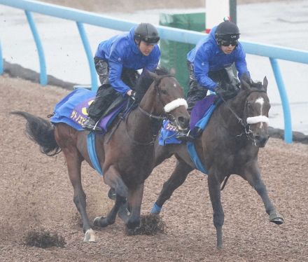 【日本ダービー1週前追い】シックスペンス　しまいはスッと併入　国枝師太鼓判「いい感じ」