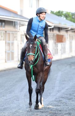 【オークス】サフィラは１日早い出発で長距離輸送対策　池添調教師「あとは向こうで食べてくれれば」