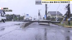 【強風】庄内中心に街路樹倒れるなど被害・山形