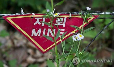 北朝鮮軍が非武装地帯で活発に作業　地雷埋設や鉄条網補強