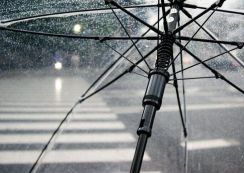 今年の梅雨はどうなる？なぜ事前に予想ができるの??気になる傾向を気象予報士が解説