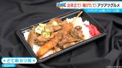 できたて揚げたての「どて串カツ丼」が大人気　どて煮のみそが“しみしみ”   バンテリンドームナゴヤの押しグルメ