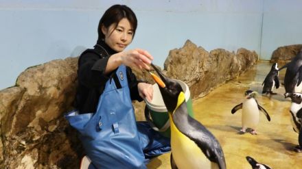 【体験談】「イルカの研究ができる大学」はどこ？　水族館で働く夢、かなえた女性