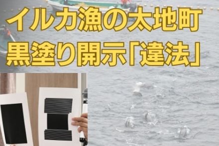 イルカ漁の和歌山・太地町、保護団体との訴訟で再び敗訴　黒塗り開示は「違法」　大阪高裁