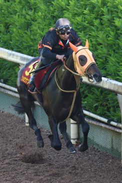 【オークス】ショウナンマヌエラ「逃げてもらうつもり」と高野師、金曜はゲート内の駐立を確認