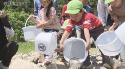 「おおきくなってねー」　園児たちがアユの稚魚を放流　2日間で11万6000匹を千代川へ　鳥取県智頭町