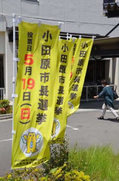 小田原市長選挙、期日前投票は伸び悩み　前回比で微減、投票率は横ばい予測も