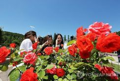 久々に晴れの週末　18日の最高気温23～30度＝韓国