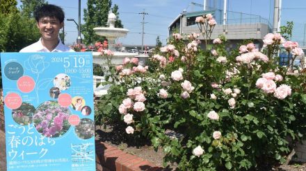 ３００品種のバラ、色や香りの違い楽しんで　あす１９日、岐阜・神戸町「ばら公園」でイベント