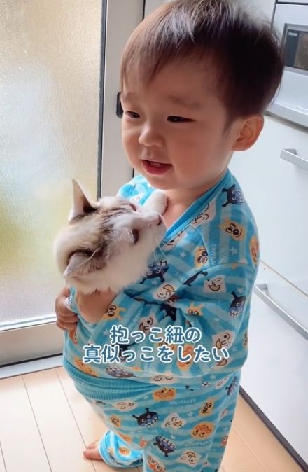 抱っこ紐をまね愛猫を抱きかかえる1歳児＆ストーブを囲む0歳孫と5匹の猫「ぬいぐるみかと思ったら猫でびっくり」「めっちゃ可愛い椅子取りゲーム」