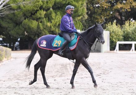 【ＰＯＧ】新馬戦開幕週の予定馬を先出しで紹介！（美浦発）