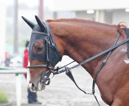 【平安Ｓ】ミトノオーが鮮やか逃げ切りＶ　約１年ぶりの重賞２勝目