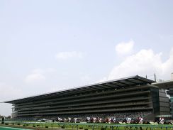 【オークス前日オッズ】ステレンボッシュが2.3倍で1番人気