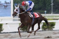 【高知・山桃特別】マジックセブンが4連勝