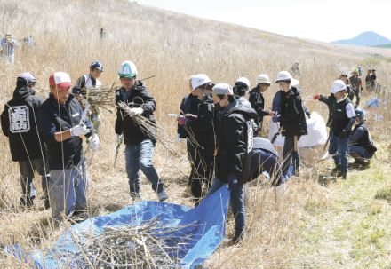 霧ケ峰草原再生願う　長野県諏訪市が雑木処理や刈り払い