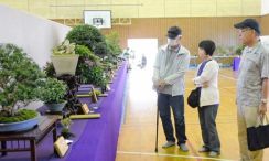「唯一無二。同じものが無いのが魅力」　全沖縄盆栽展　うるま市で5月19日まで